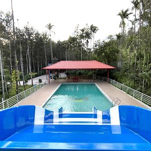 Ecstassy Resort